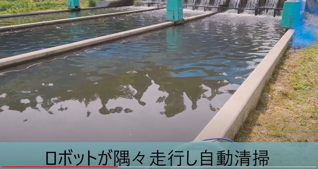 水底清掃ロボット